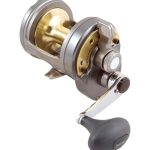 Shimano Tyrnos Overhead Reels