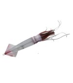 Sea Falcon Ultra Real Squid