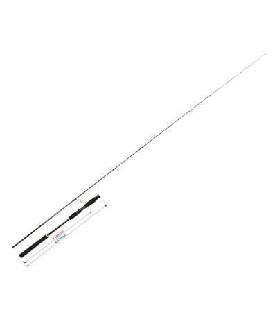 Yamaga Blanks SeaWalk Taijigging Rod