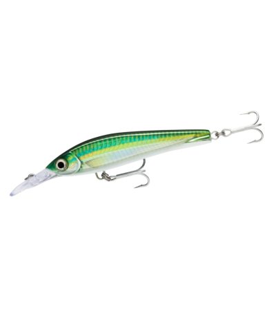 Rapala X-Rap Magnum Xtreme 160